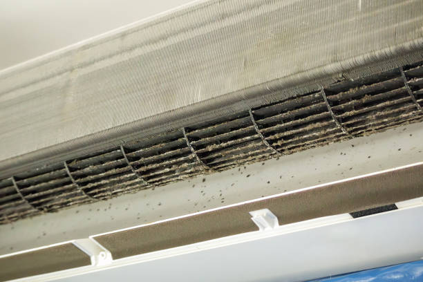 Best Affordable HVAC Duct Cleaning  in Avoca, IA